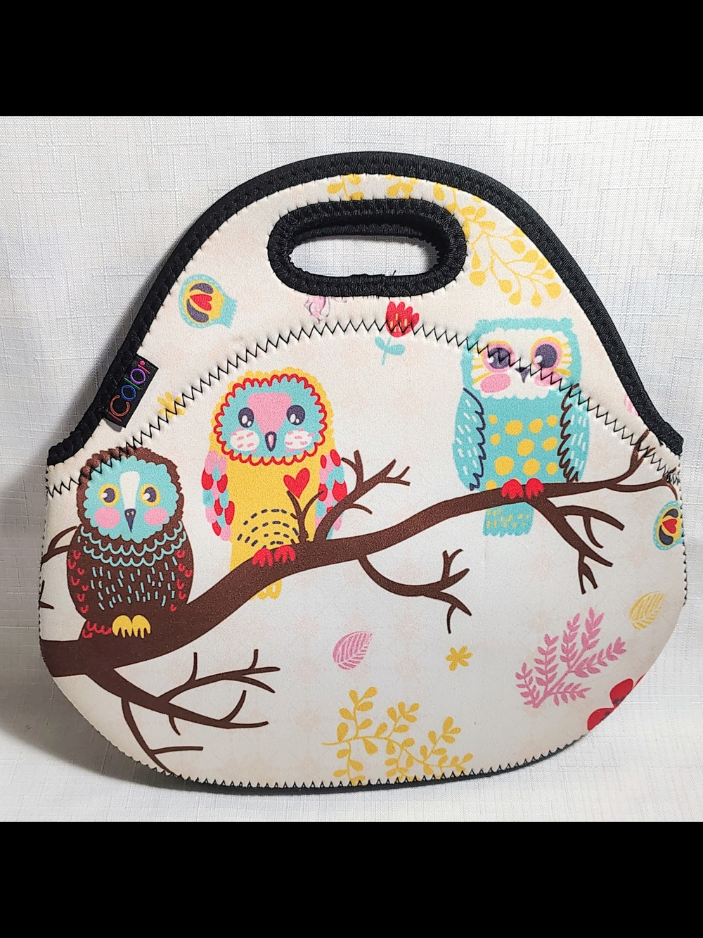 Owl Insulated Lunch, Beach Or Drink Bag Zipper Closure 8" Deep 12 Inch Wide